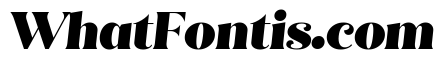 Quiche Flare Black Italic
