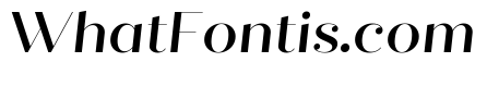 Quiche Fine Medium Italic