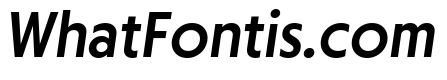Otterco Medium Italic