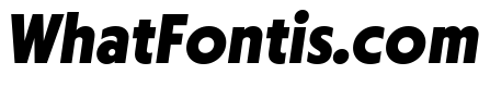 Otterco Extra Bold Italic