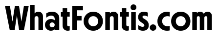 Otterco Display Semi Bold