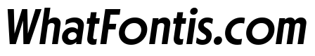 Otterco Display Medium Italic