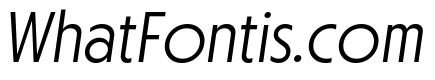 Otterco Display Light Italic