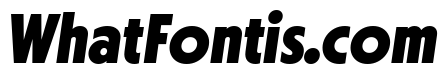 Otterco Display Extra Bold Italic