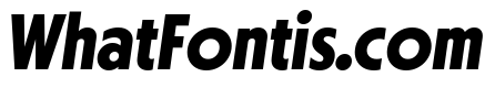 Otterco Display Bold Italic