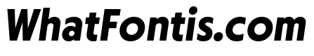 Otterco Bold Italic