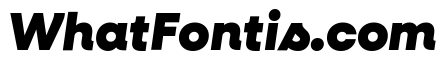 Neulis Cursive Black Italic