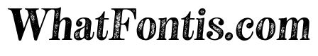 Neato Serif Regular Italic Rough