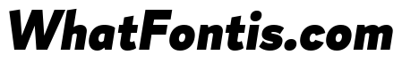 Magdelin Alt Black Italic