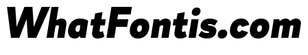 Magdelin Black Italic