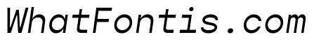 Gopher Mono Regular Italic