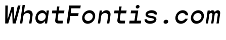 Gopher Mono Medium Italic