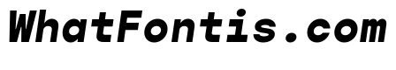 Gopher Mono Extra Bold Italic
