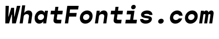 Gopher Mono Bold Italic