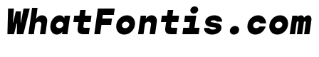 Gopher Mono Black Italic