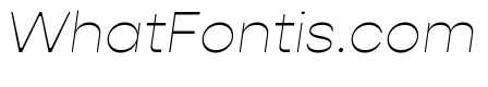 Gopher Thin Italic