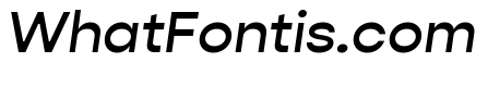 Gopher Text Medium Italic