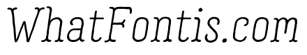 Garlic Salt Regular Italic