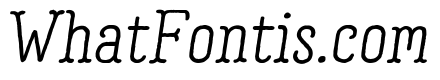 Garlic Salt Bold Italic