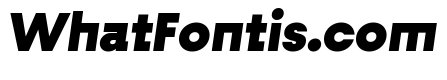 Fractul Alt Black Italic