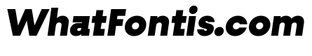 Fractul Black Italic