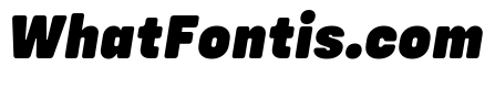 Config Rounded Black Italic