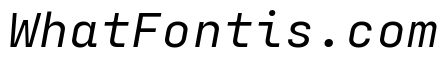 Config Mono Regular Italic