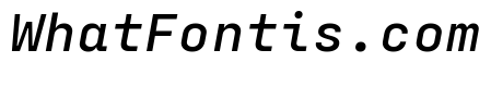 Config Mono Medium Italic