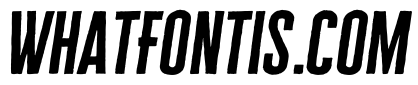 Cheddar Gothic Sans Regular Italic