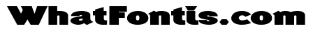 Generation Headline Extended Heavy