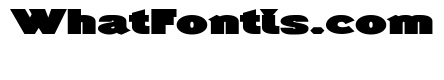 Generation Headline Extended Elephant