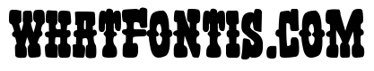 Revisionist Western