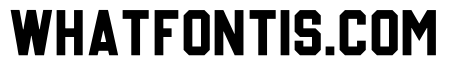 Basketball2
