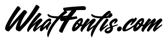 Shorebreak Script PERSONAL USE Regular