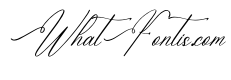 Hidasatie Bastirona DEMO VERSIO Italic