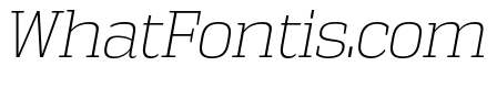 Vectipede Thin Italic