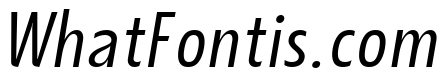 JHC Katsubie Light Italic