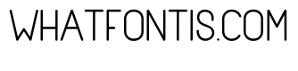 Miniplate