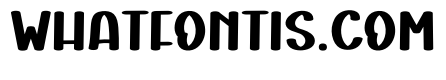 Modern Designer