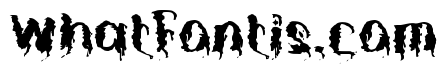 FEAR OF BLOOD