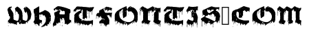 Gore Regular