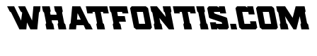 Indian Steeds Leftalic