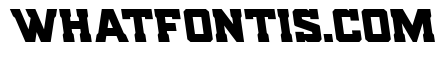 Indian Steeds Semi-Leftalic
