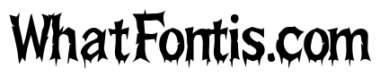 Road to the Dead Forest