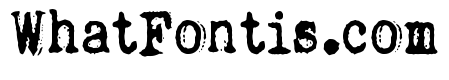 Rough Serif