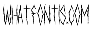 SETANZ