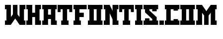 Bisson Capital
