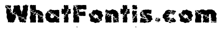 Chuky Chuky Black