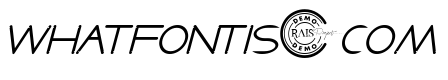 Say Next Demo Italic