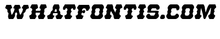 U.S. Marshal Semi-Italic